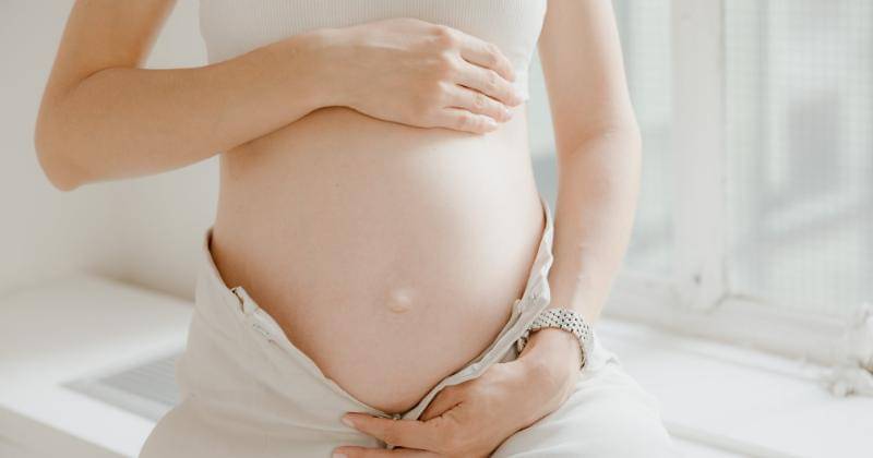 Pexels/RDNE Stock project